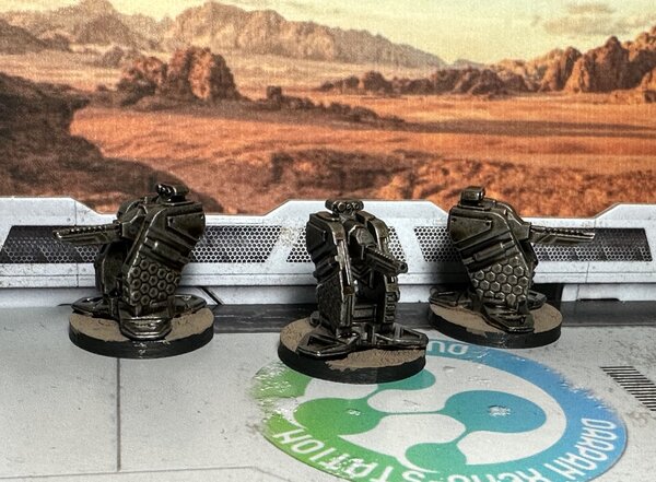 warden20240211_remote turrets.jpg warden20240211_remote turrets.jpg