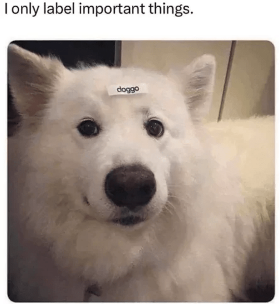 only-label-important-things-doggo.png