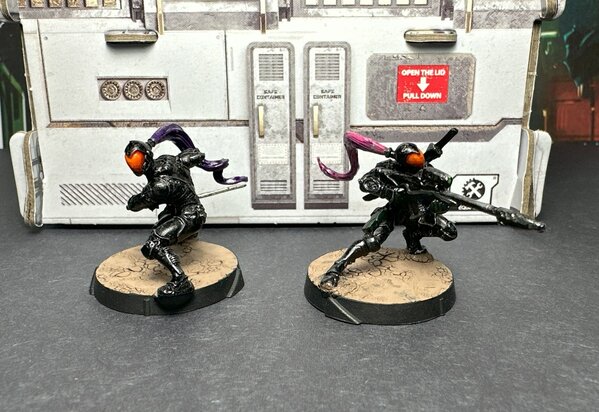 warden20240220_ninjas.jpg warden20240220_ninjas.jpg