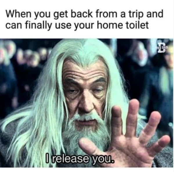 get-back-trip-and-can-finally-use-home-toilet-rea-o-release-dad.png