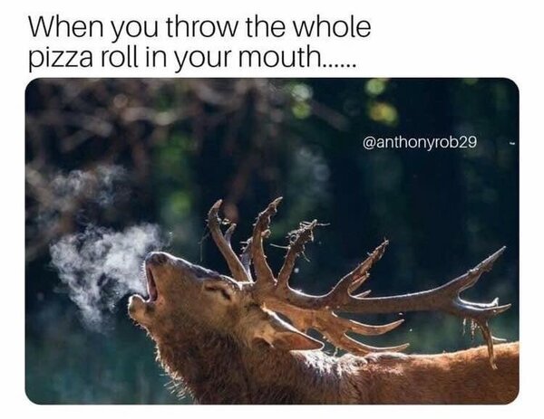 throw-whole-pizza-roll-mouth-anthonyrob29.jpg