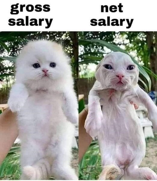 gross-salary-net-salary.jpg