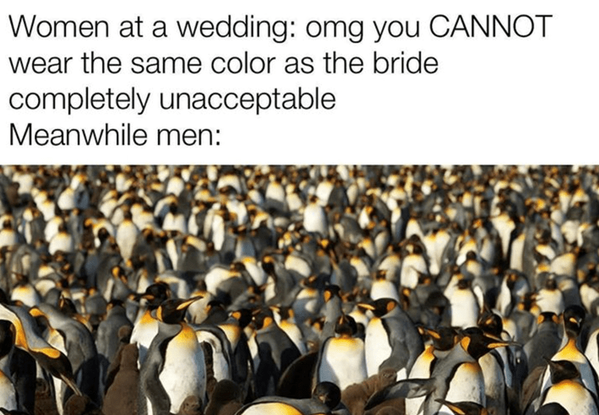 women-at-wedding-omg-cannot-wear-same-color-as-bride-completely-unacceptable-meanwhile-men.png