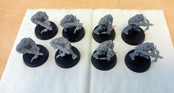 IMG_20240419_110855.jpg IMG_20240419_110855.jpg