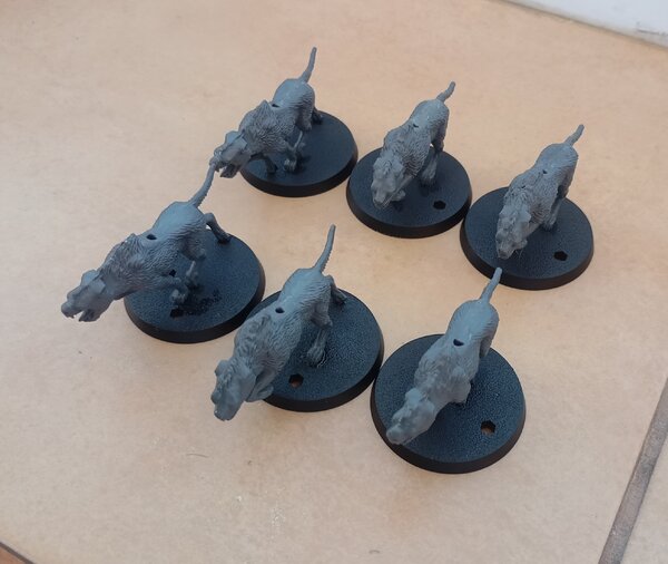 IMG_20240504_143529.jpg IMG_20240504_143529.jpg