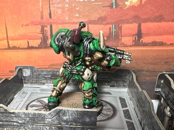 warden20240504_shakush 4.jpg warden20240504_shakush 4.jpg