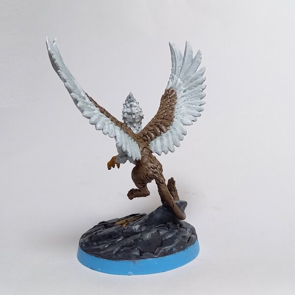 20240418_181530.jpg 20240418_181530.jpg