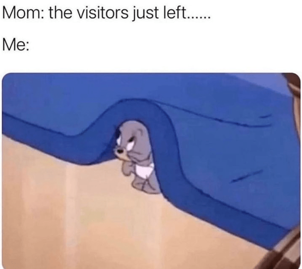 mom-visitors-just-left.png