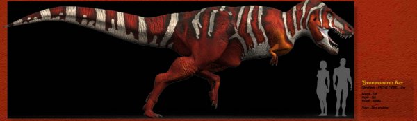 Tyrannosaurus_upd_by_RyanZ720_zpsk5760z8a.jpg
