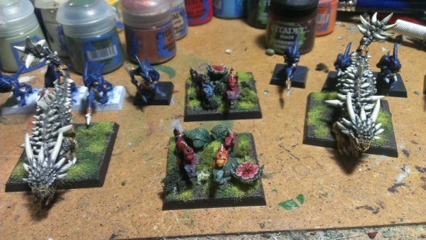 IMAG1393_zpsix5adstw.jpg IMAG1393_zpsix5adstw.jpg