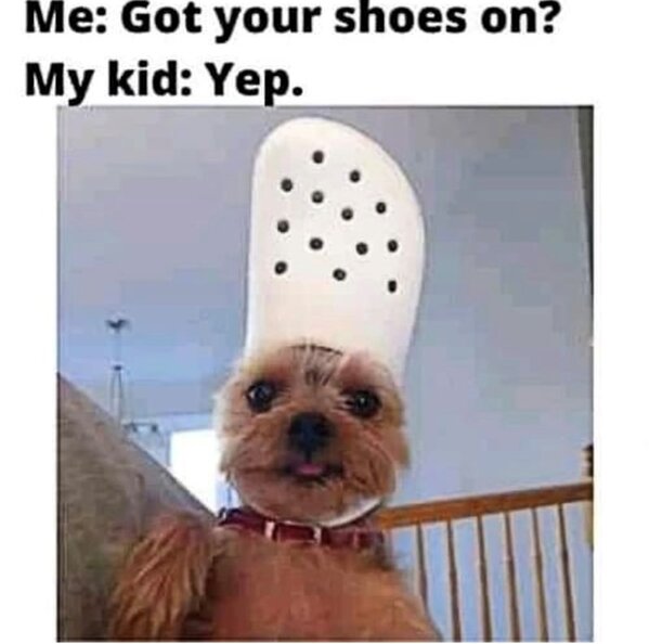 got-shoes-on-my-kid-yep.jpg