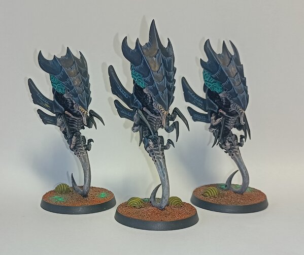 IMG20240909095532.jpg IMG20240909095532.jpg