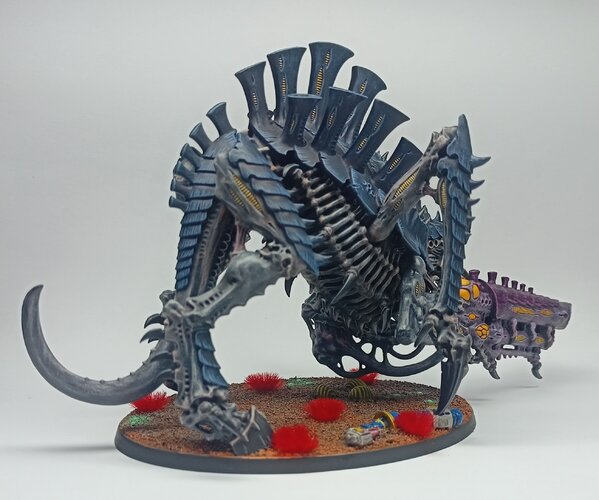 IMG_20240921_191237.jpg IMG_20240921_191237.jpg