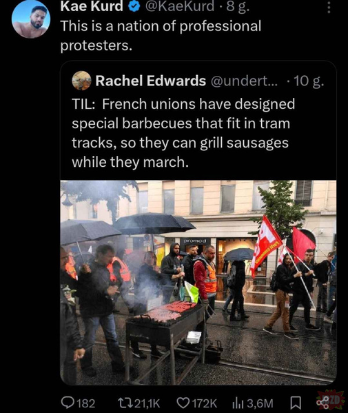 professional bbq protest.png