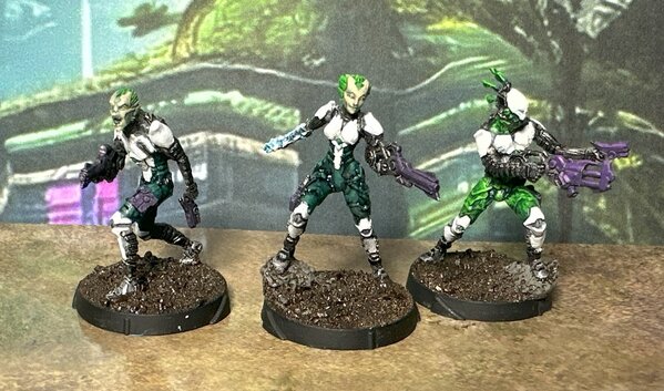 warden20241009_tohaa kamaels.jpg warden20241009_tohaa kamaels.jpg