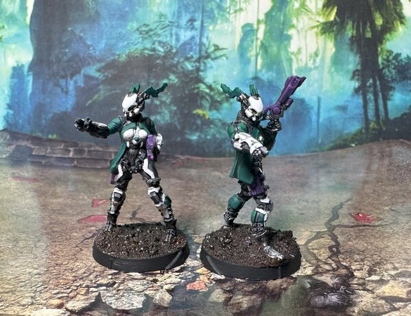 warden20241018_tohaa kaeltar specialists 1.jpg warden20241018_tohaa kaeltar specialists 1.jpg