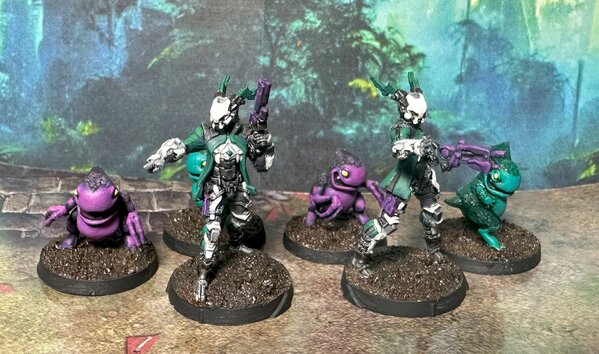 warden20241018_tohaa kaeltar specialists 3.jpg warden20241018_tohaa kaeltar specialists 3.jpg