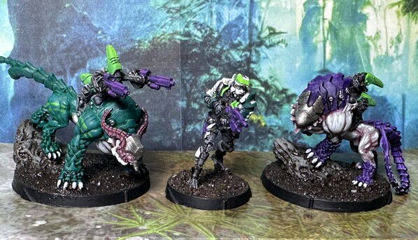 warden20241027_tohaa kerail preceptor 1.jpg warden20241027_tohaa kerail preceptor 1.jpg