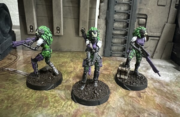 warden20241103_tohaa sukeul commandos 1.jpg warden20241103_tohaa sukeul commandos 1.jpg