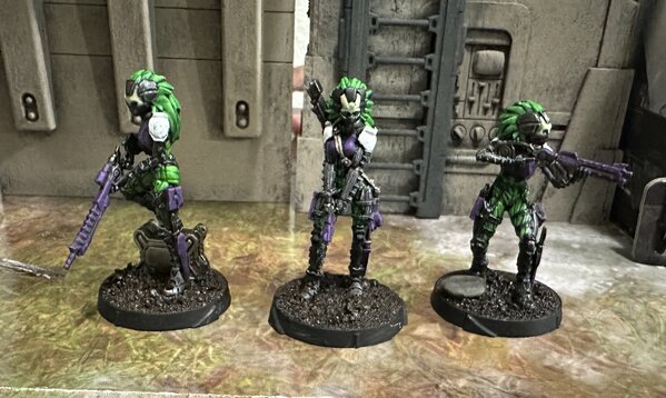 warden20241103_tohaa sukeul commandos 2.jpg warden20241103_tohaa sukeul commandos 2.jpg