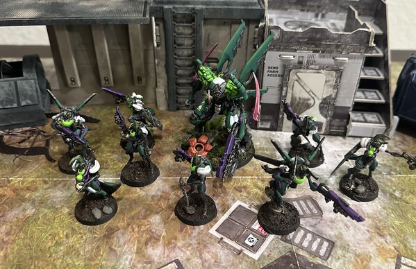 warden20241103_tohaa army 4 exrah.jpg warden20241103_tohaa army 4 exrah.jpg