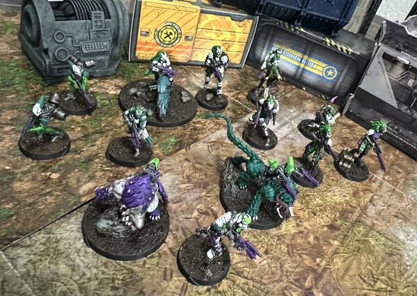 warden20241103_tohaa army 5 ebay finds.jpg warden20241103_tohaa army 5 ebay finds.jpg