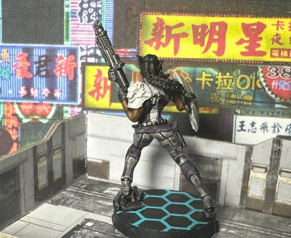 warden20241105_aleph valkyrie 4.jpg