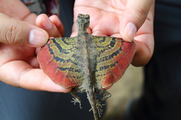 original.jpeg original.jpeg