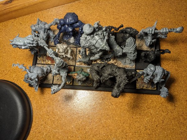 PXL_20250314_042717989.jpg PXL_20250314_042717989.jpg