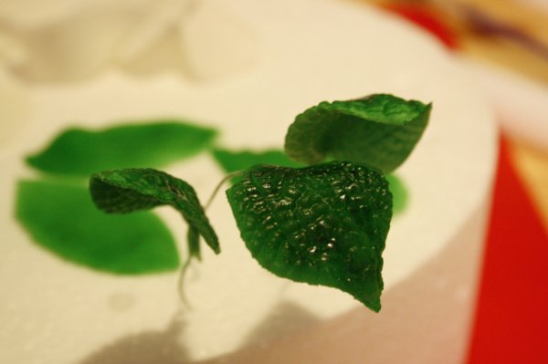 _MG_2720.Jpeg _MG_2720.Jpeg