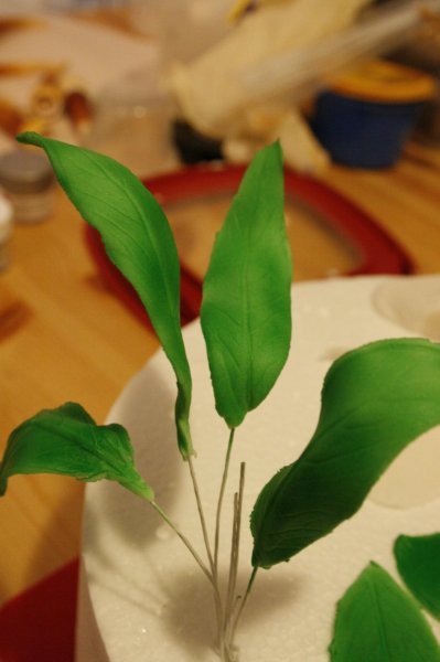 _MG_2722.Jpeg _MG_2722.Jpeg