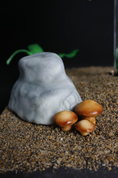 _MG_2733.Jpeg _MG_2733.Jpeg