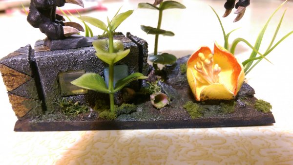 IMAG0291.jpg IMAG0291.jpg