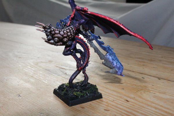 IMG_2011.JPG IMG_2011.JPG