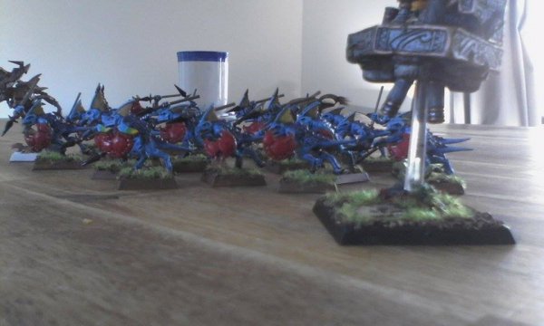 skinks.jpg skinks.jpg