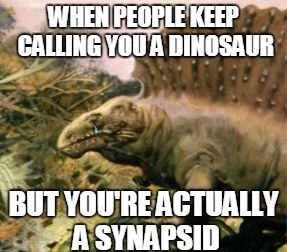 saddest dmietrodon.jpg saddest dmietrodon.jpg