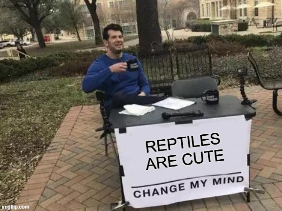 9raa6g.jpg