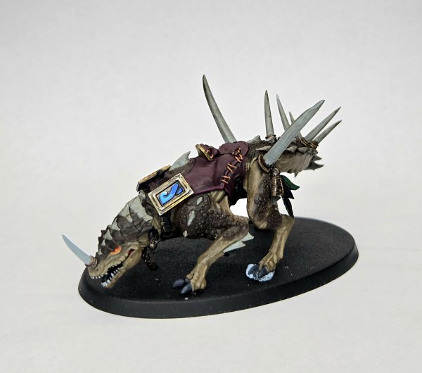 20250429_074953.jpg 20250429_074953.jpg