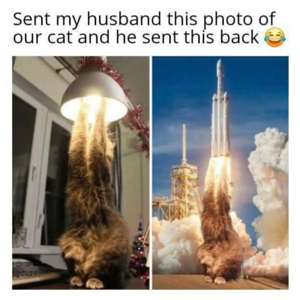 493560697_1109420307893887_5841240533885883092_n.jpg