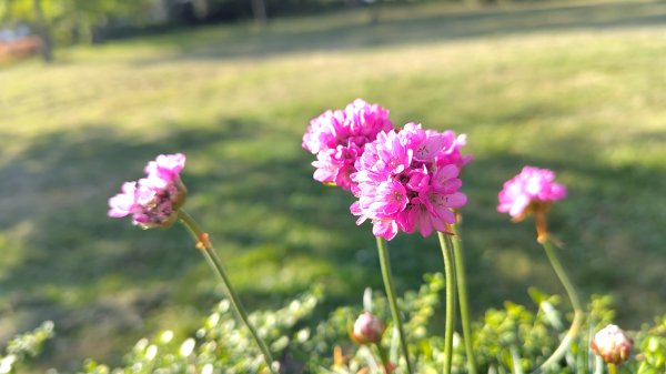 IMG_20250430_184441.jpg
