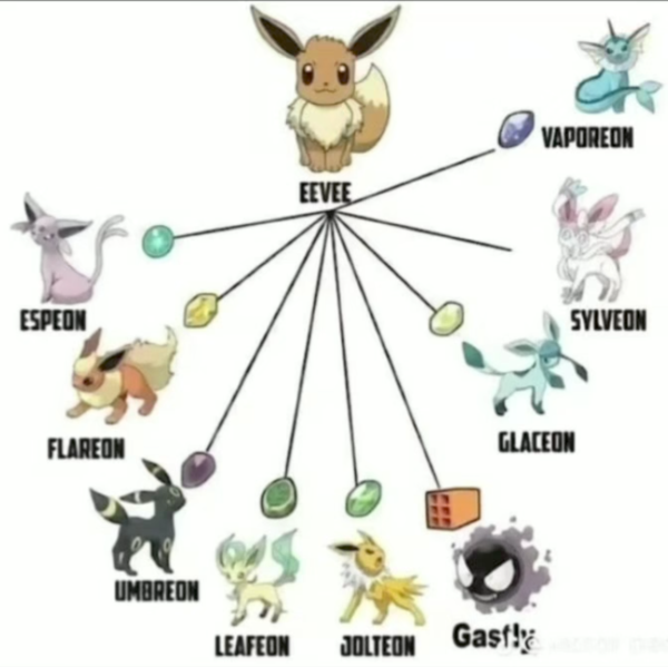 Screenshot_20250430-073228~2.png