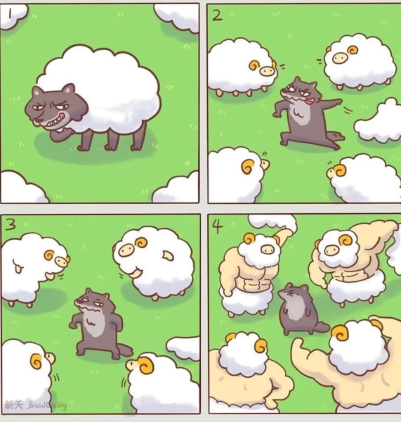 Screenshot_20250319-150932~2.png