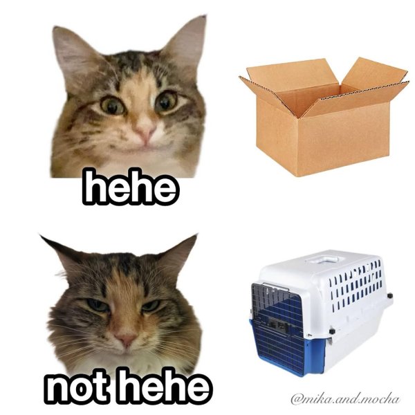 493077377_986039177071072_5045441370170264212_n.jpg
