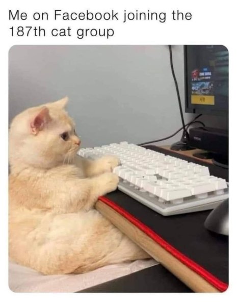 497906465_987583520249971_6950342297725745489_n.jpg