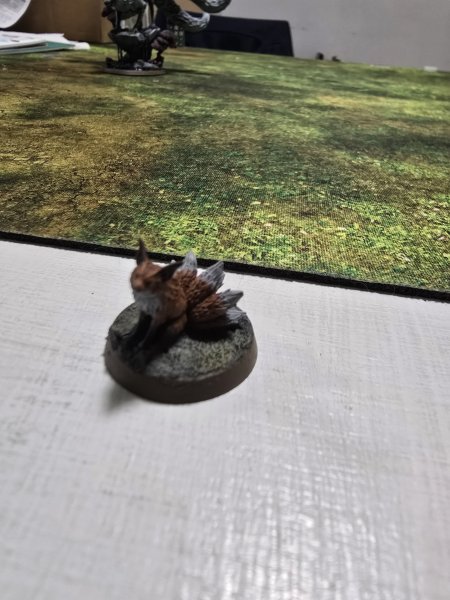 20250522_041706.jpg 20250522_041706.jpg