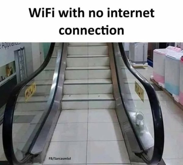 499487974_679819028137091_8612495786893615370_n.jpg