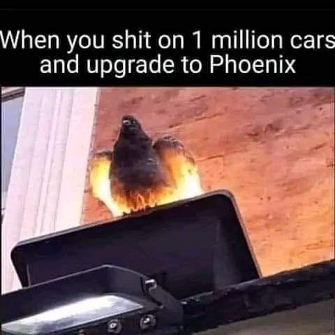 499915061_1209109047678725_2001145157949391809_n.jpg
