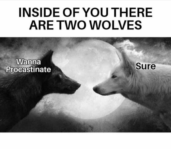 499871214_1426690101845992_4484091663817474065_n.jpg