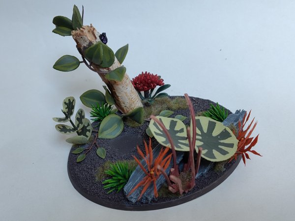 Forest 2.jpg