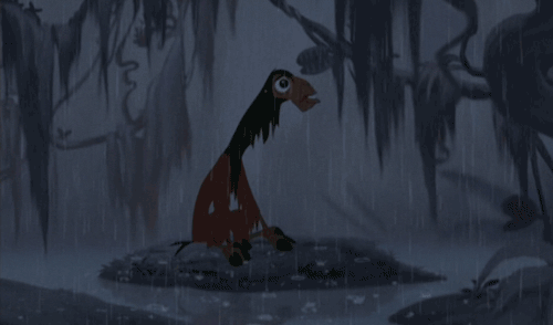 york-rain.gif